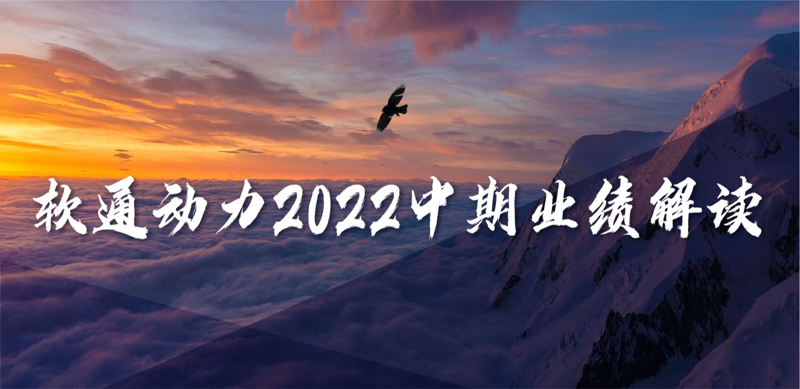 z6com·尊龙2022中期业绩：务实敢为，营收稳定增长，持续优化业务布局