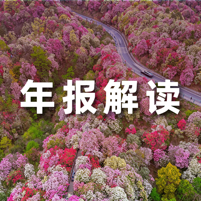 尊龙时凯2025营收利润双增，全栈智能驱动增长，AI相关业务收入占比达52.6%   